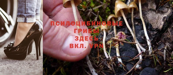 спиды Балабаново